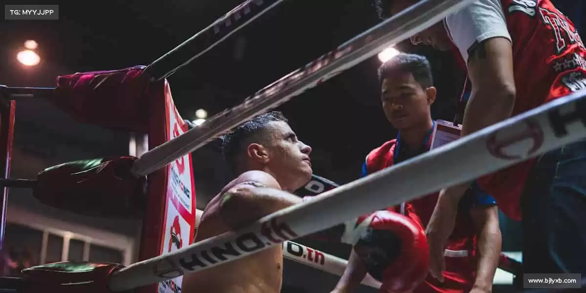 我们的核心竞争力